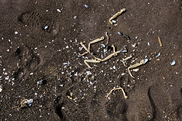 Similar image 22248029