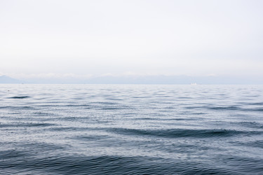 Similar image 22248036