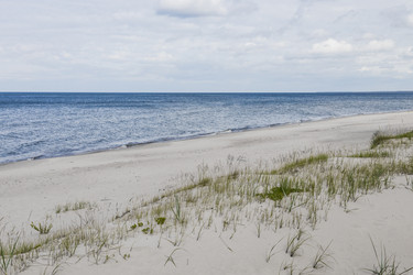 Similar image 22247450