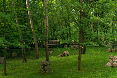 Similar image 22246675