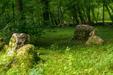 Similar image 22246676