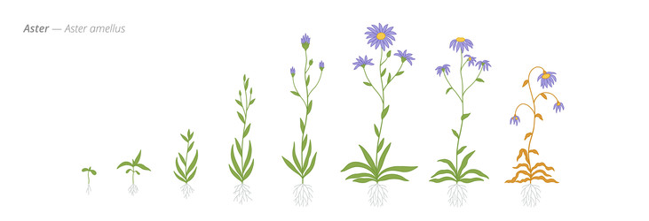 Similar image 22247801