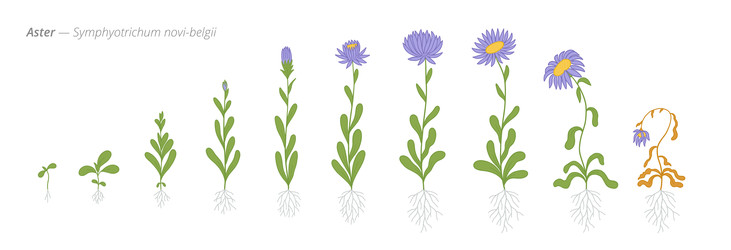 Similar image 22258126