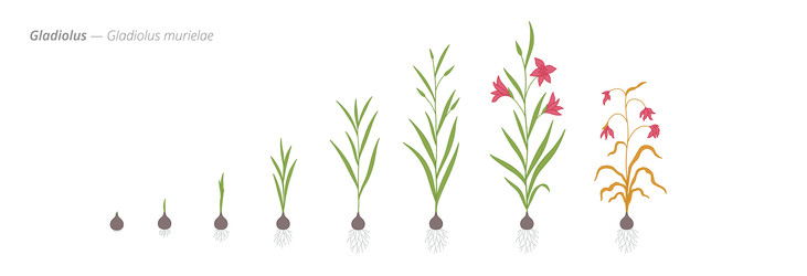 Similar image 22247802