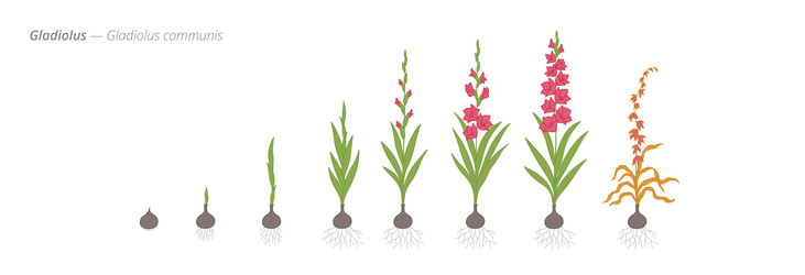 Similar image 22258152