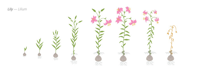 Similar image 22247836