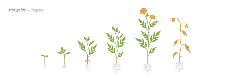 Similar image 22258153