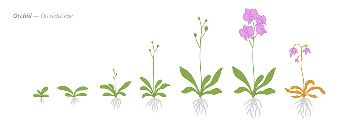 Similar image 22258154