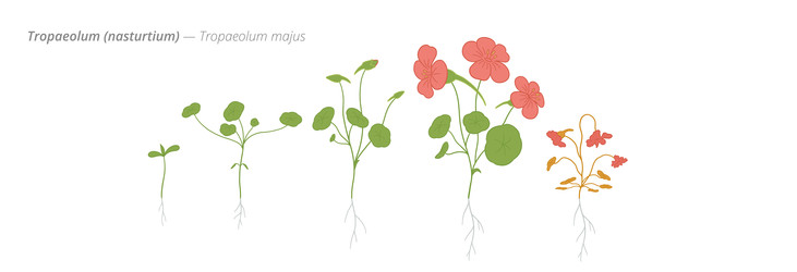 Similar image 22258155