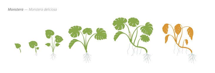 Similar image 22247838