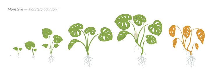 Similar image 22258156