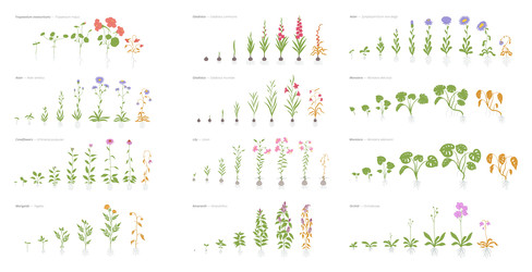 Similar image 22258157