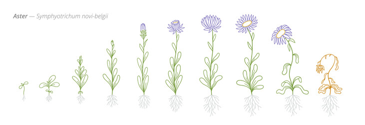 Similar image 22258159