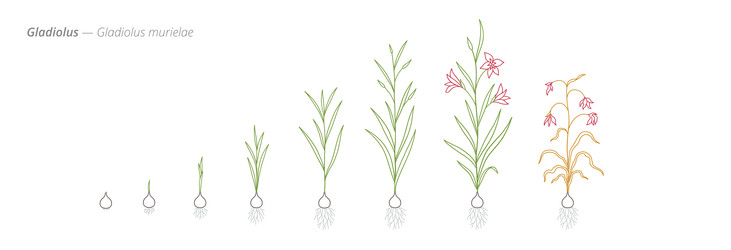 Similar image 22258160