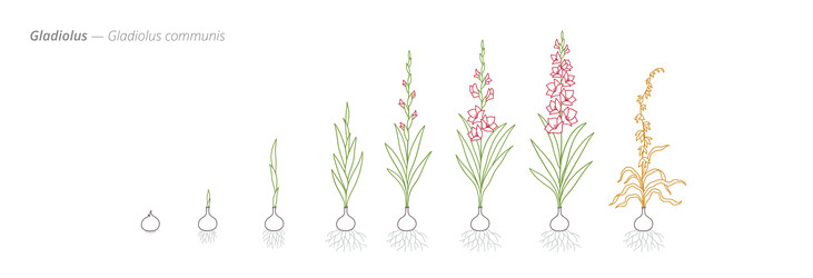 Similar image 22258161