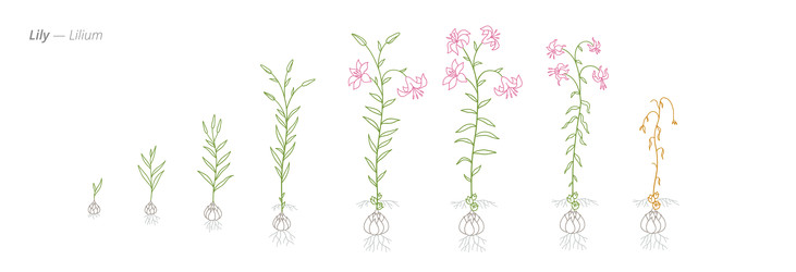 Similar image 22247839