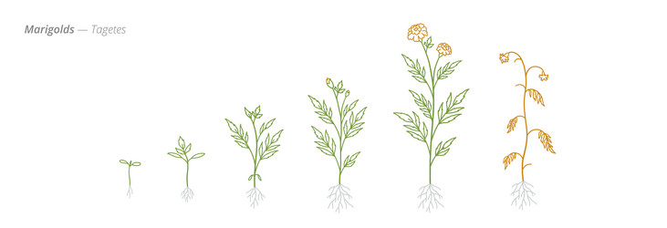 Similar image 22258163