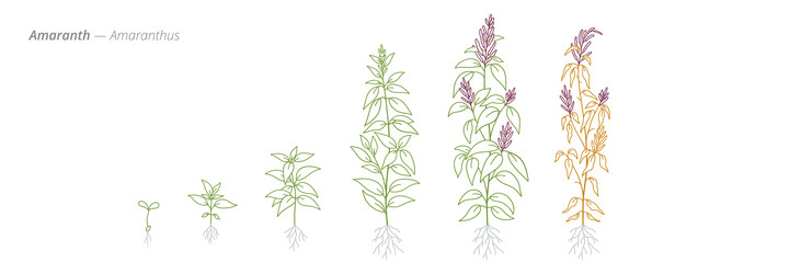 Similar image 22258164