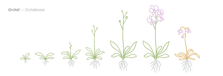 Similar image 22258165