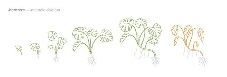 Similar image 22258166