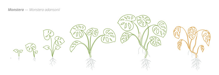 Similar image 22258167