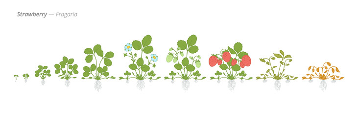 Similar image 22258168