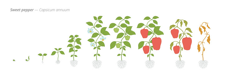 Similar image 22258169