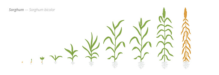 Similar image 22258171