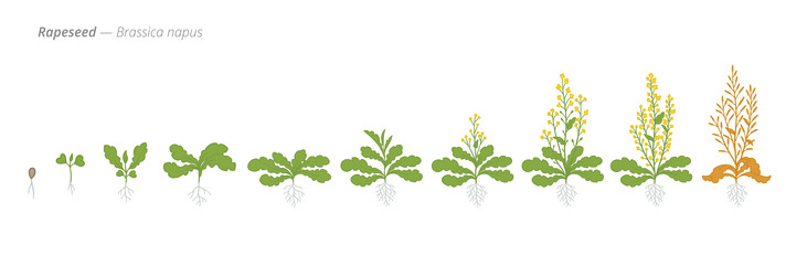 Similar image 22258172