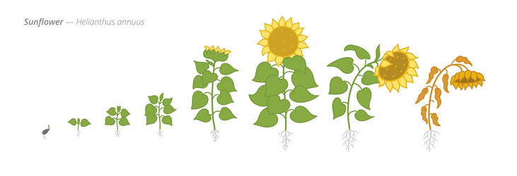 Similar image 22258173