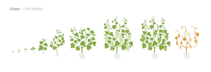 Similar image 22258174