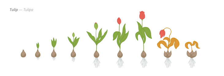 Similar image 22258178