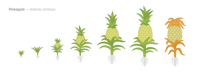 Similar image 22258182