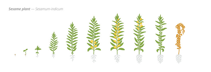 Similar image 22258183