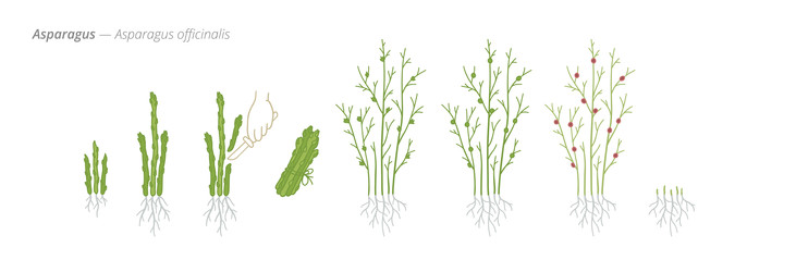 Similar image 22247934