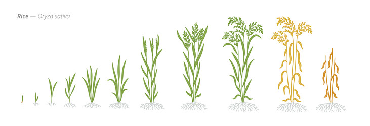 Similar image 22247935