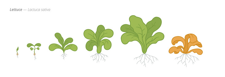 Similar image 22258185