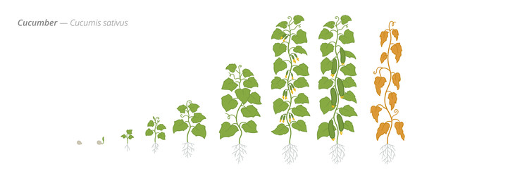 Similar image 22258187