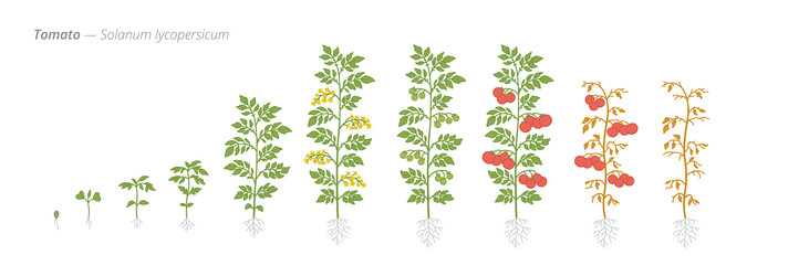 Similar image 22258189