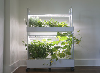 Similar image 22246683