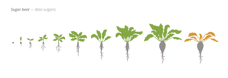 Similar image 22247803