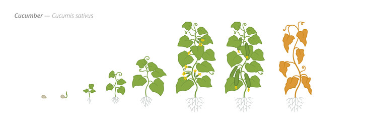 Similar image 22247804