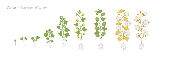 Similar image 22247805