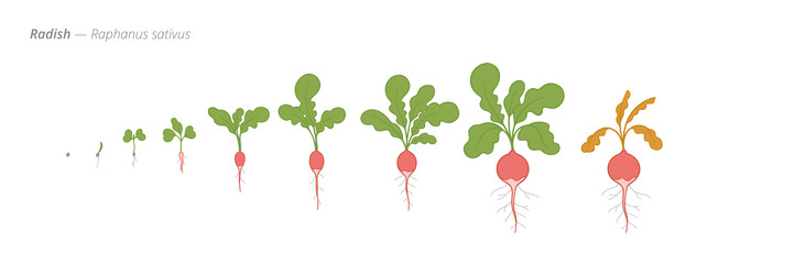 Similar image 22258127