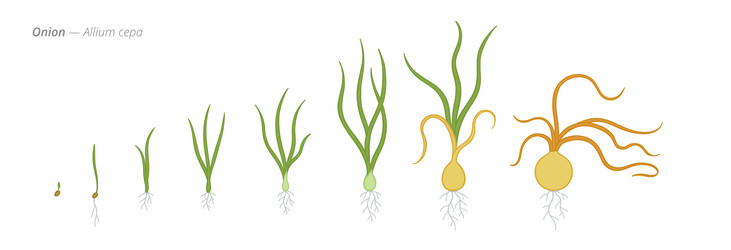 Similar image 22247806