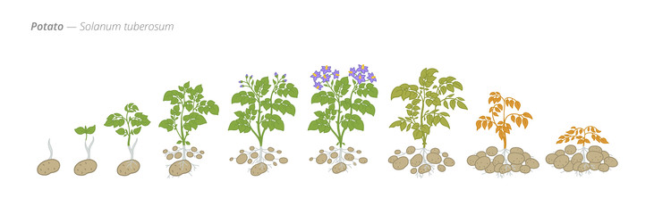 Similar image 22258128