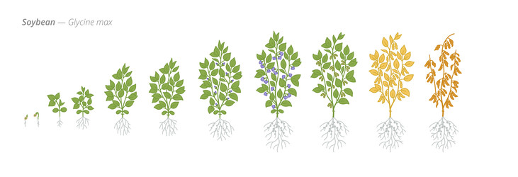 Similar image 22258129