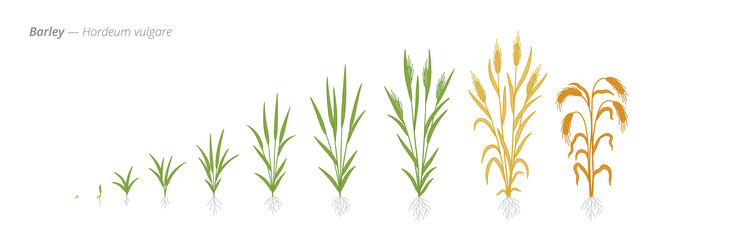 Similar image 22258131