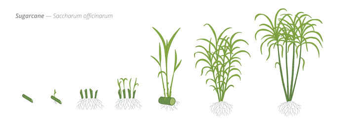 Similar image 22247807