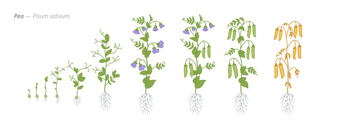 Similar image 22258132